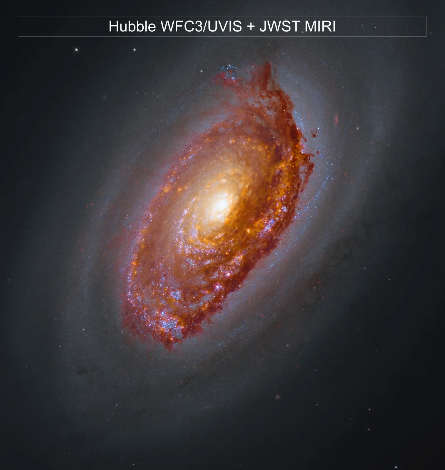 Webb's View of M64