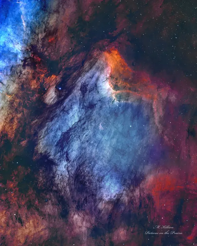 The Pelican Nebula in Gas, Dust, and Stars